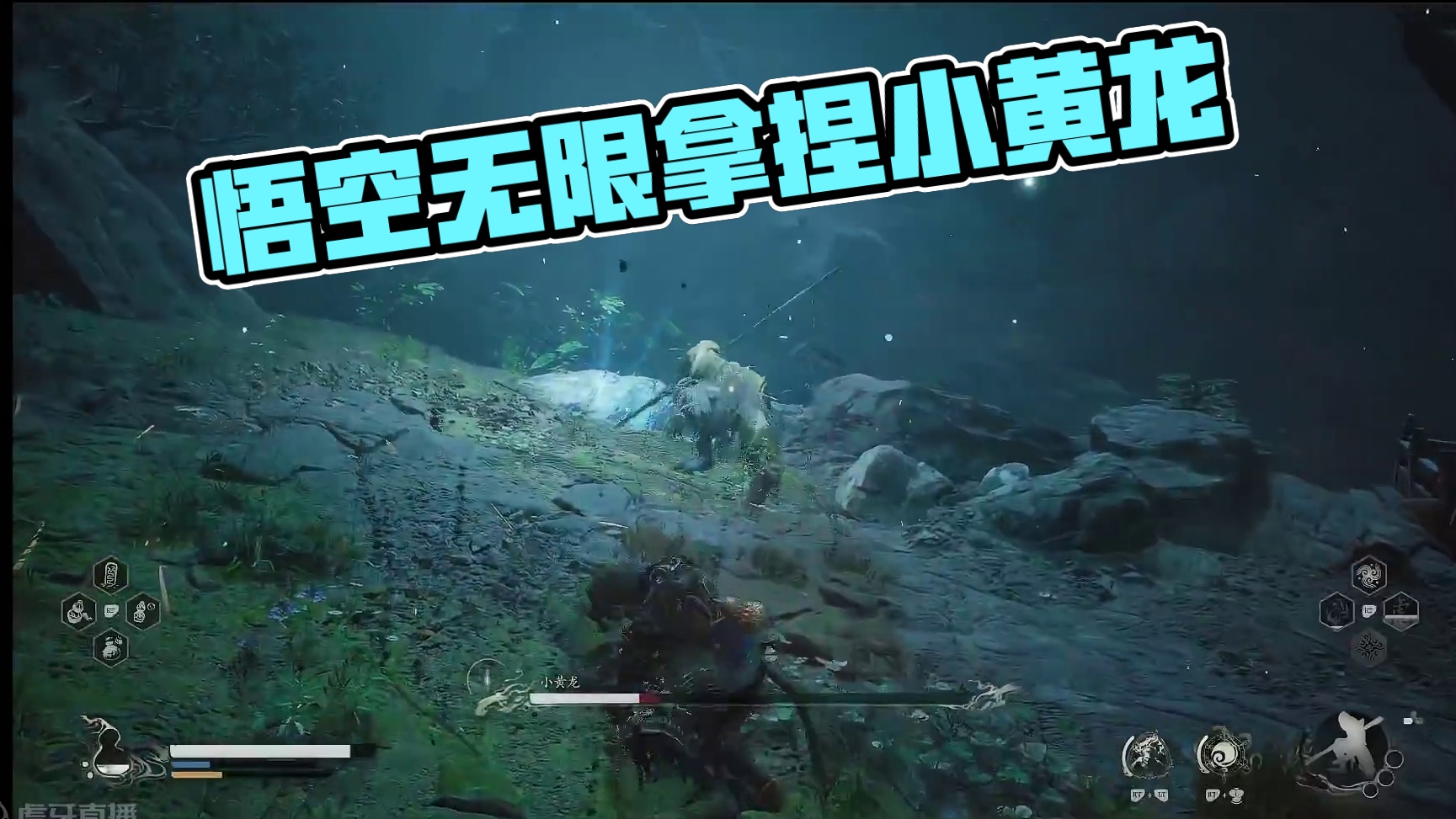 无限识破，拿捏小黄龙