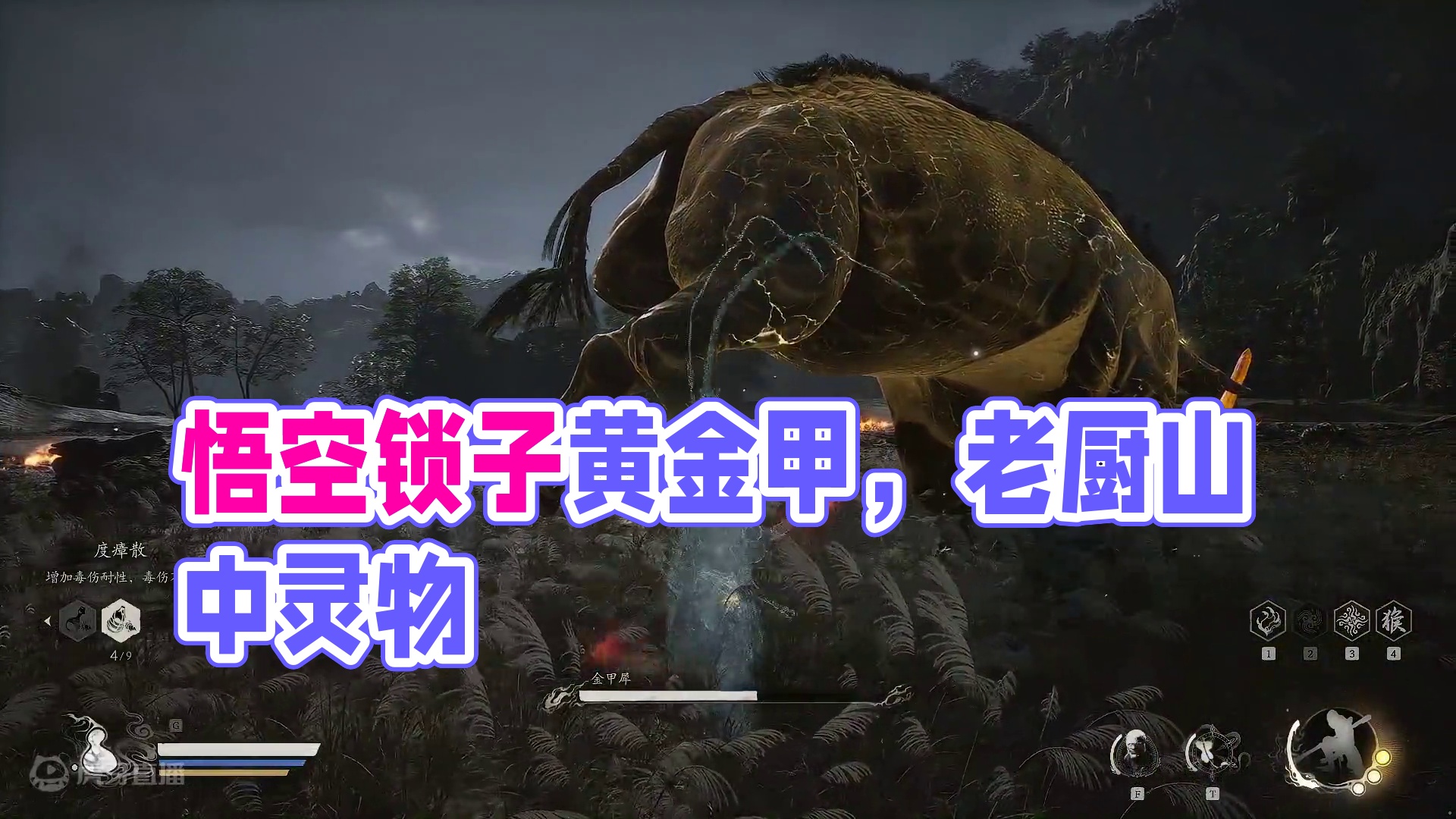 黑神话悟空之锁子黄金甲