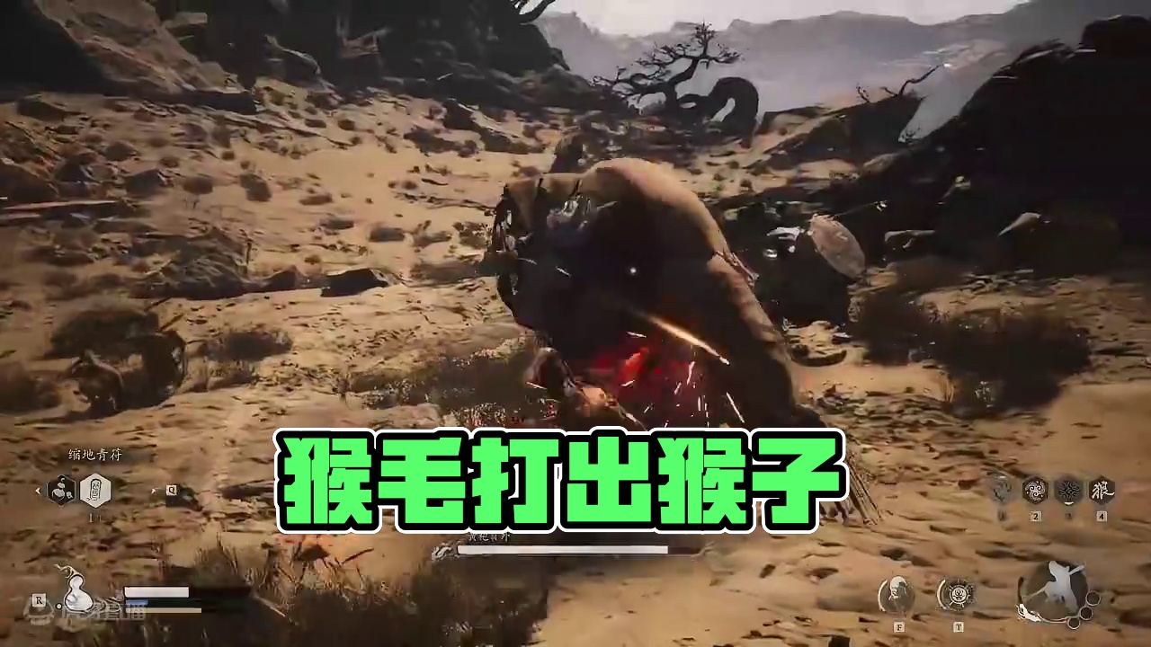 【黑神话悟空】屎壳郎也是BOSS？ #黑神话悟空 #黑神话悟空创作激励   #游戏内容风向标  #单