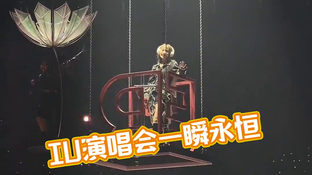 一瞬间 就定格成了永远#iu #iu演唱会 #iu李知恩
