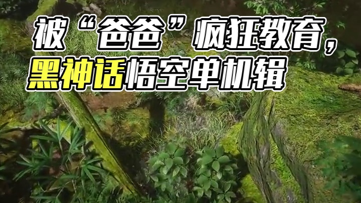 被大头“儿子”疯狂教育，55555#steam游戏 #游戏日常  #黑神话悟空  #单机游戏 