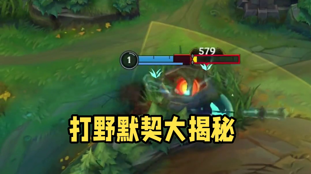 这就是打野之间的默契