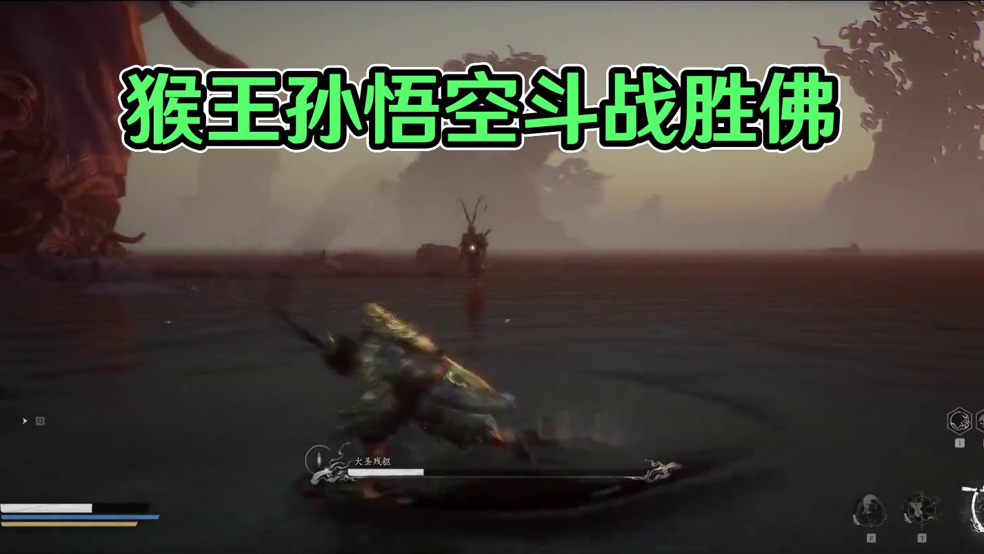 猴哥猴哥