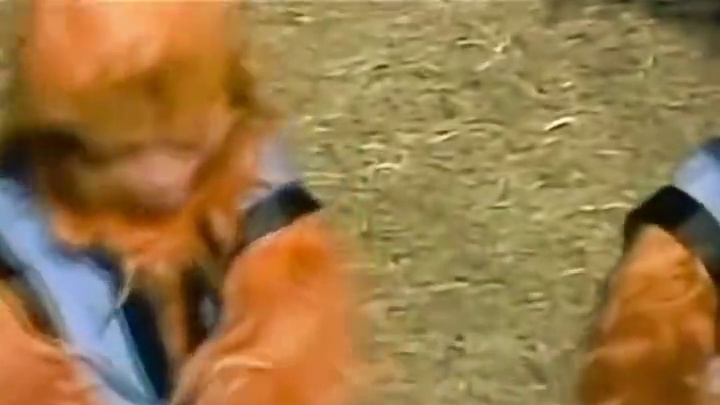 逝去的回忆，突然攻击我