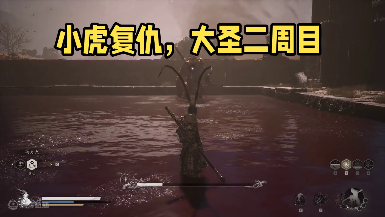 小虎，谁与汝博弈？【大圣归来】黑神话悟空二周目复仇记 #黑神话悟空 #黑神话悟空创作者激励