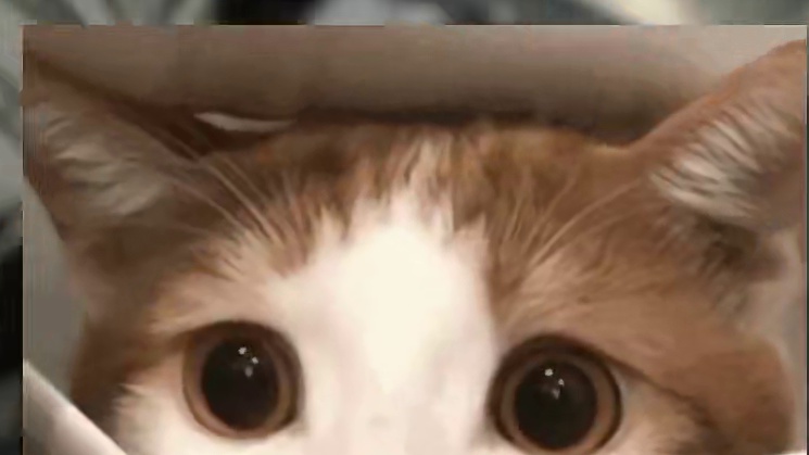 【萌新】三角洲哪把钥匙最赚？ #三角洲行动 #三角洲行动新手教学 #三角洲行动双子测试