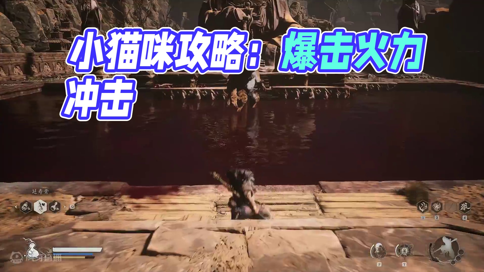 欢迎来到我的直播间片段1