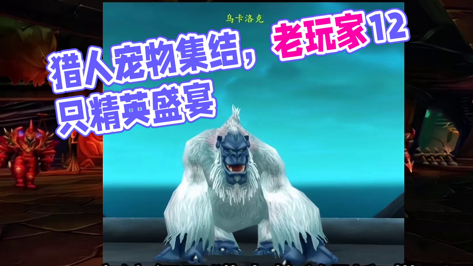 魔兽世界：猎人老玩家最难忘的12只宠物，为它们蹲守了几个昼夜 #魔兽世界 #魔兽世界猎人宠物 #魔兽