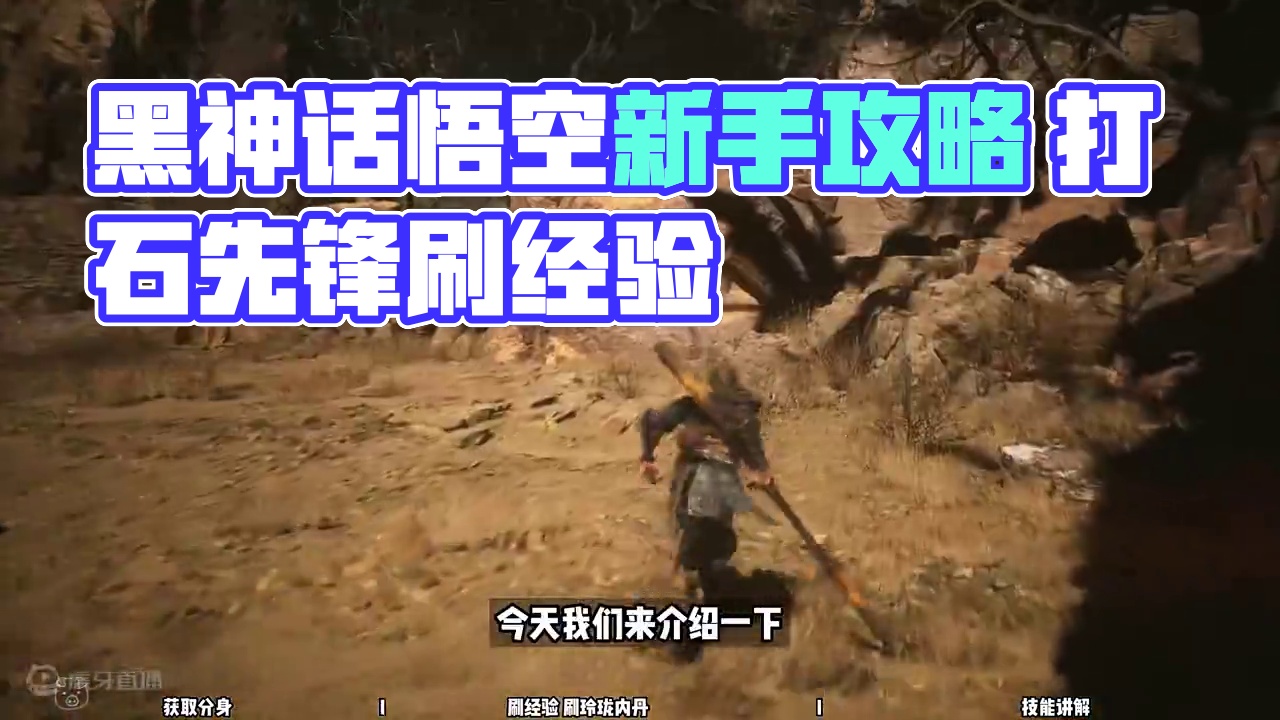 【黑神话悟空 新手攻略】06 前期刷经验 #黑神话悟空 #达达猪 #玲珑内丹 #黑神话悟空新手攻略