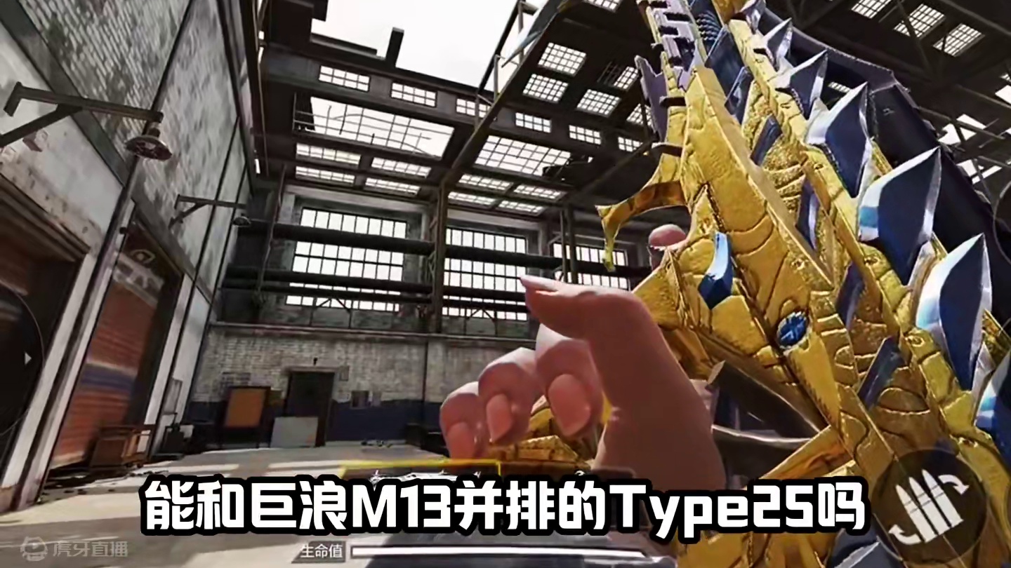 还记得曾经的type25吗#完蛋我被幽灵包围了 #使命召唤手游 #codm突燃一夏嘉年华