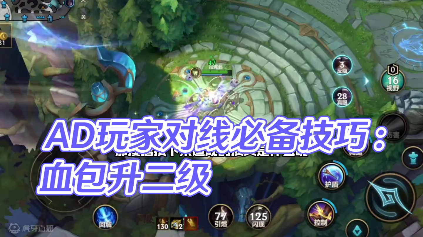 AD的知识辅助来教～ #lol手游进化海克斯峡谷 #lolm新赛季上分英雄