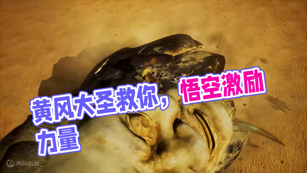 “黄风大圣也是大圣！” #黑神话悟空创作激励 #黑神话悟空 #黄风大圣