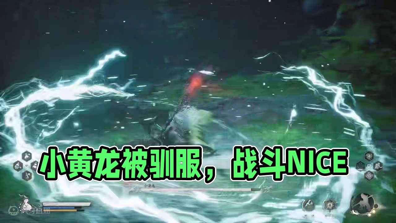 小黄龙，战斗爽，打了50遍左右吧 要是能重复打，我能完全驯服他#黑神话悟空