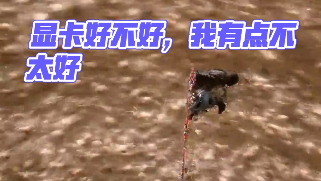 "显卡好不好我不知道，我有点不太好" #黑神话悟空  #黑神话悟空创作激励  #单机游戏 #黑神话