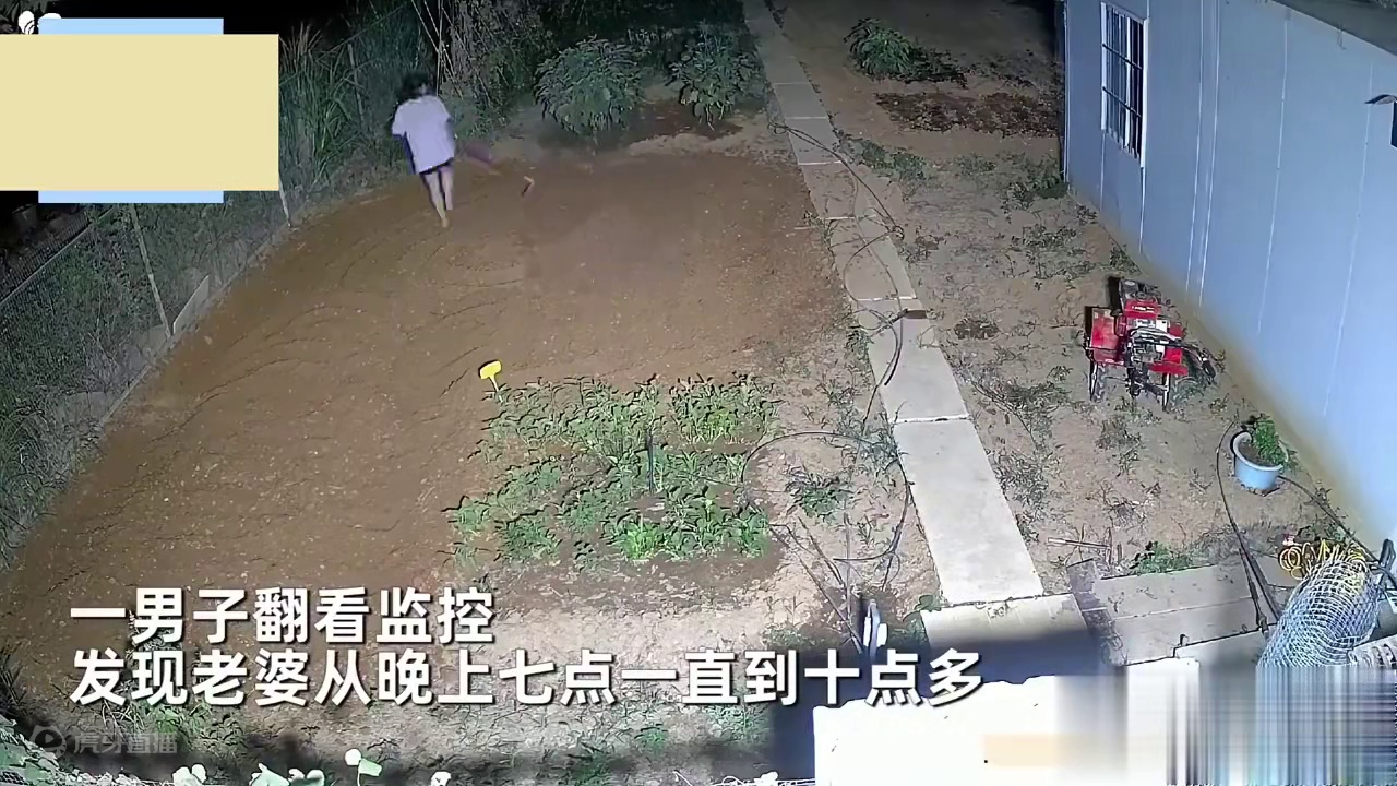 女子下班种地3小时到深夜，老公看监控不敢信，麻利动作网友慕了