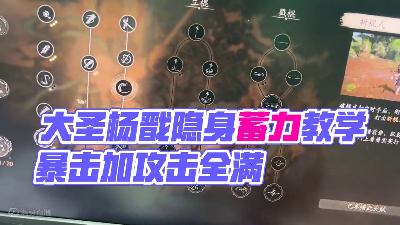 #黑神话 一遍过大圣杨戬加点一棒3分之一教学#steam游戏