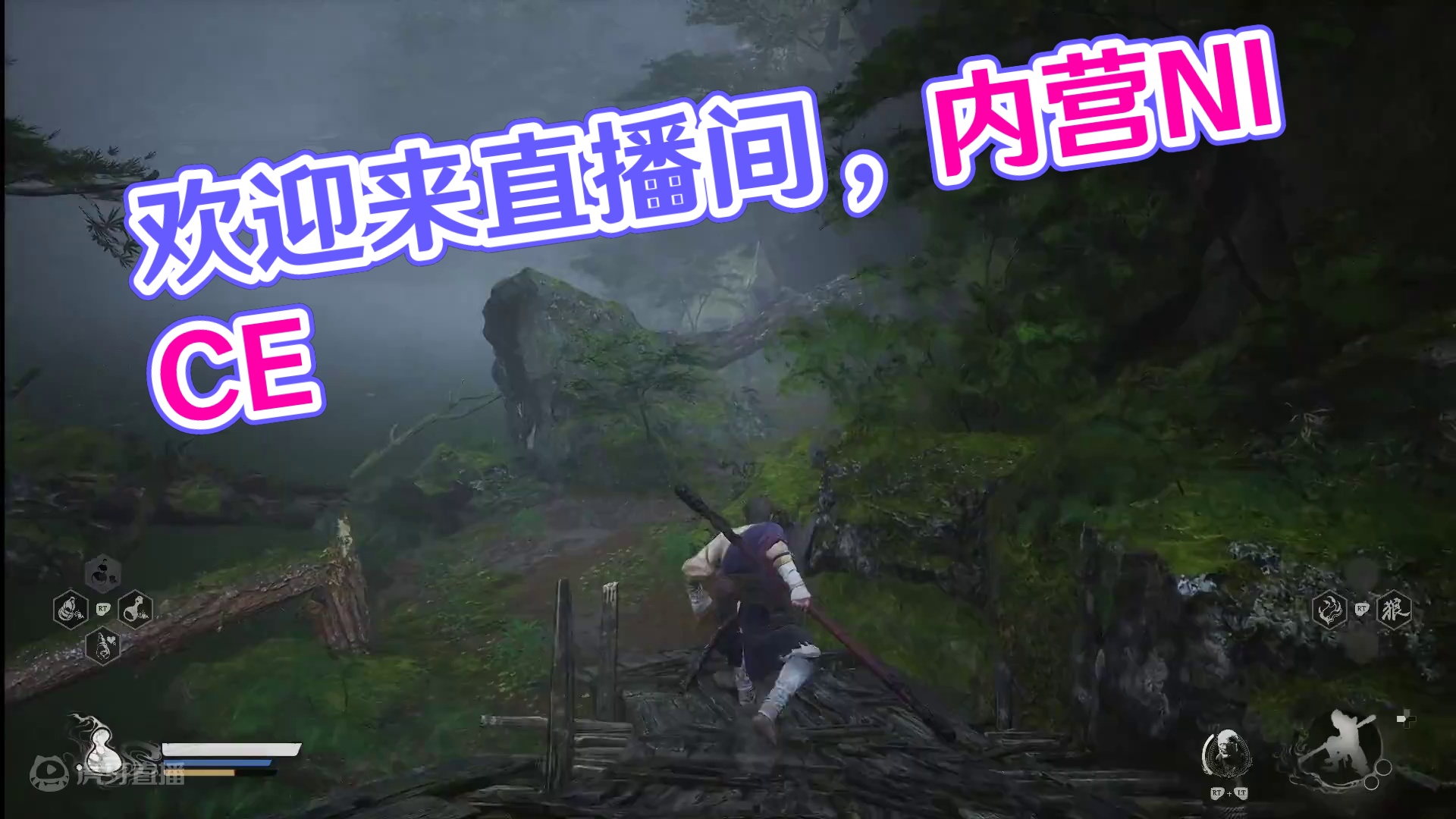 欢迎来到我的直播间片段1