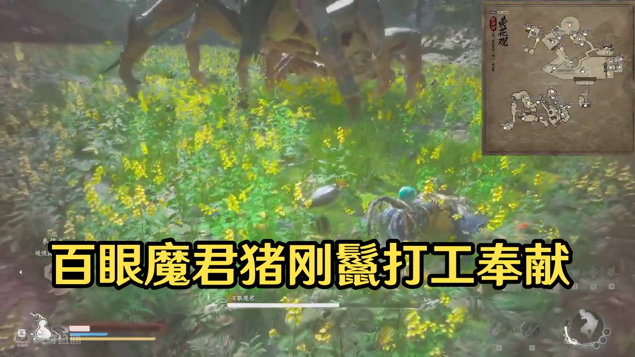 百眼魔君-薄情寡义猪刚鬣