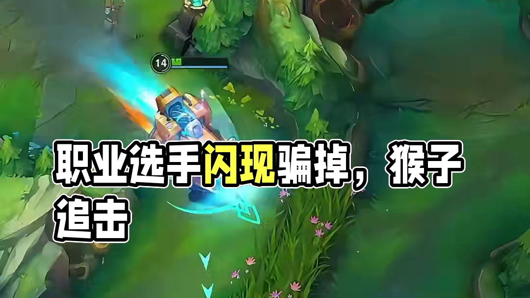 职业队勿扰！！！