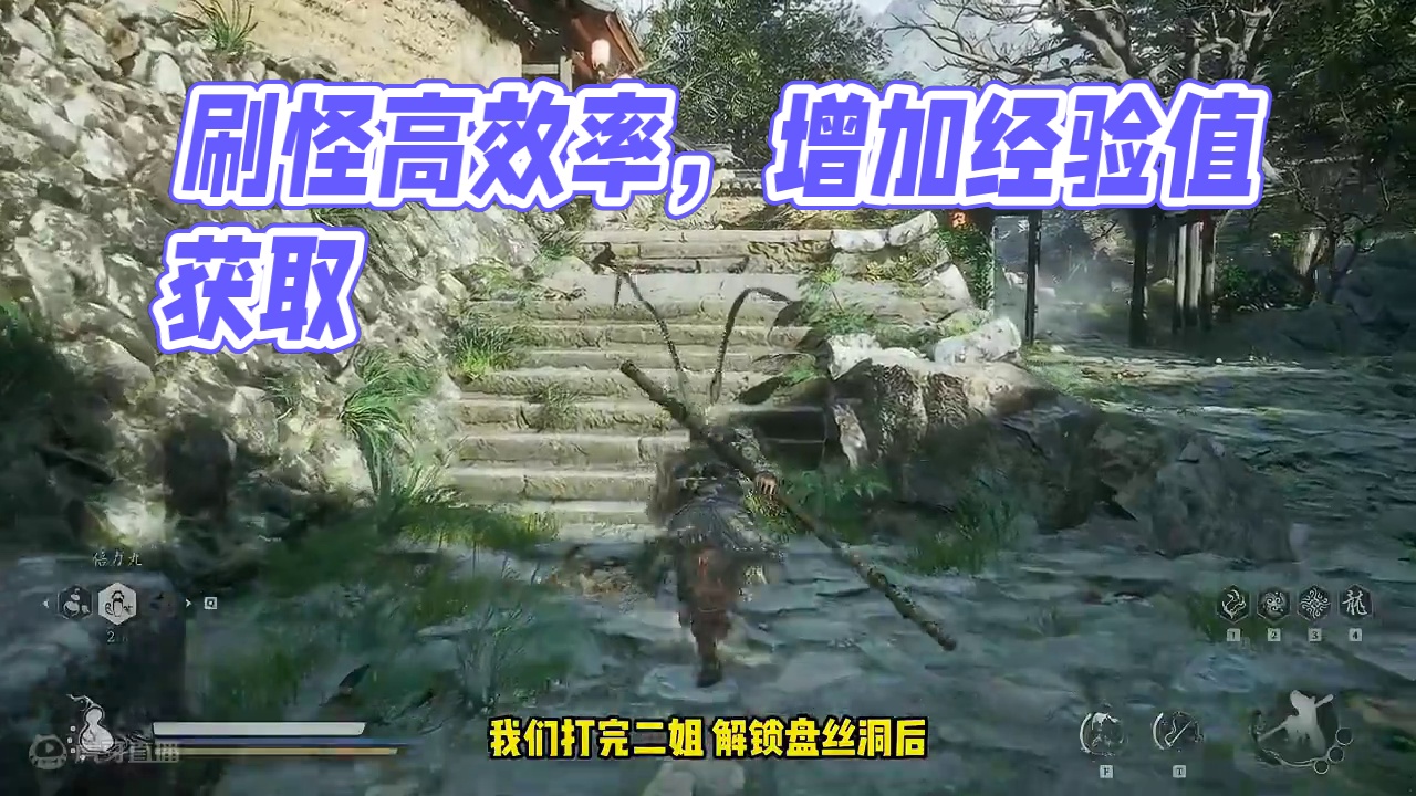 加灵蕴、经验的装备获取，刷材料效率更高 #黑神话悟空 #黑神话悟空创作激励