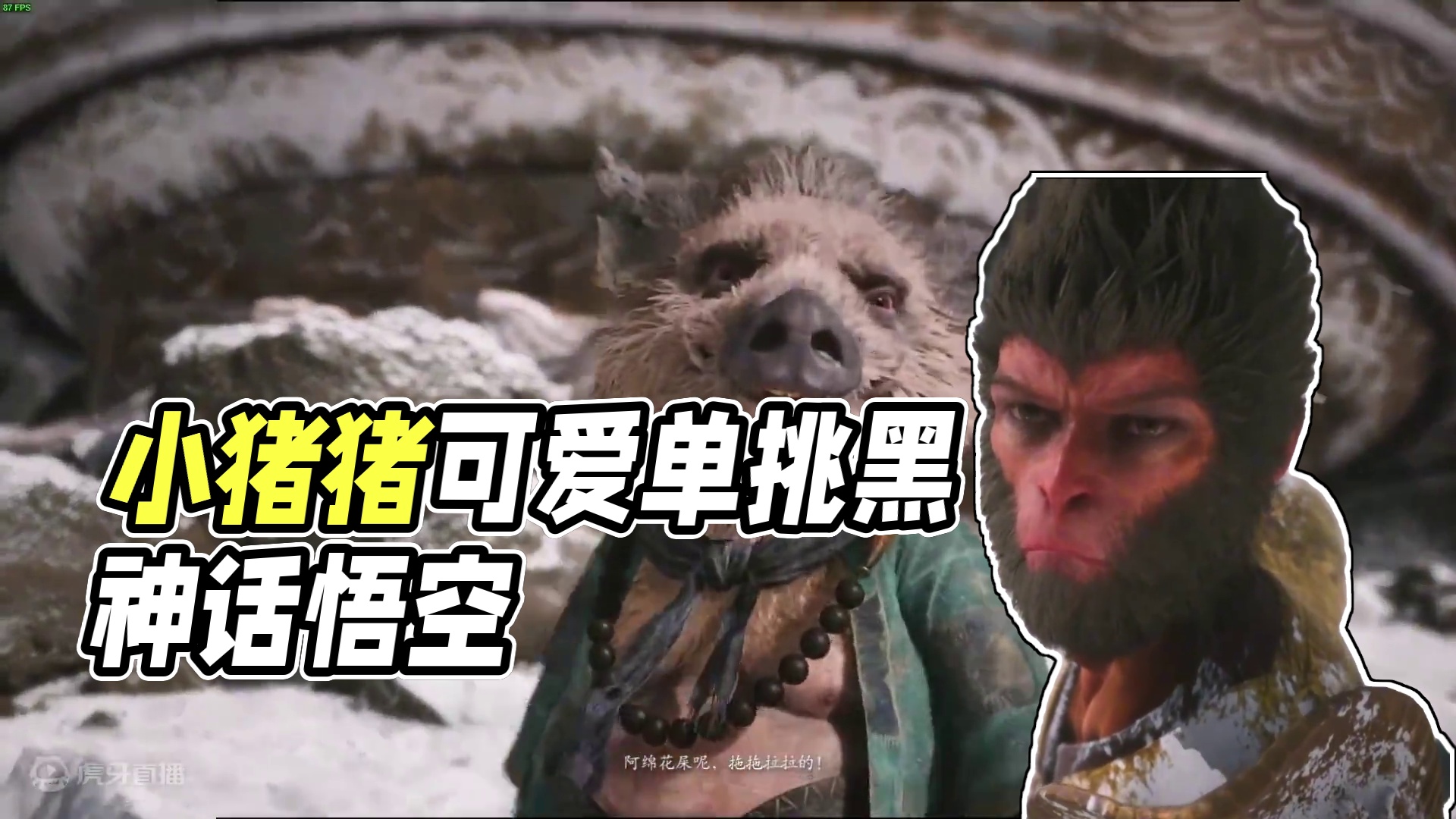 小猪猪小猪猪可爱的小猪猪~~ #黑神话悟空