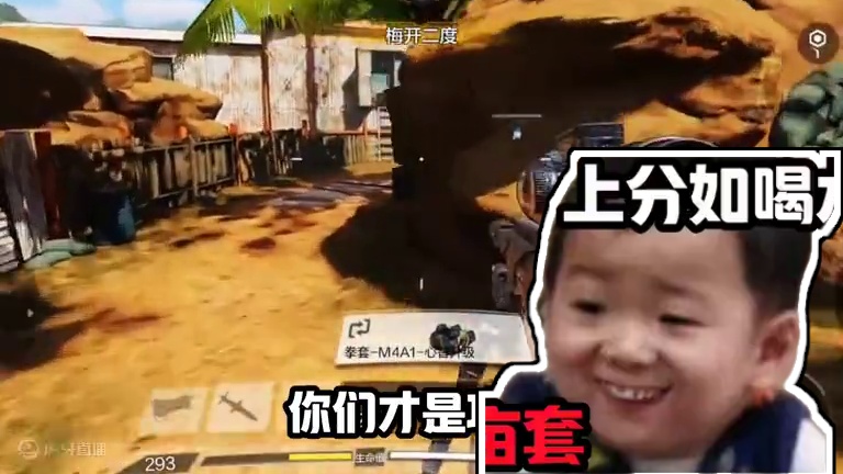 五亩套为什么没人玩了#codm #使命召唤手游