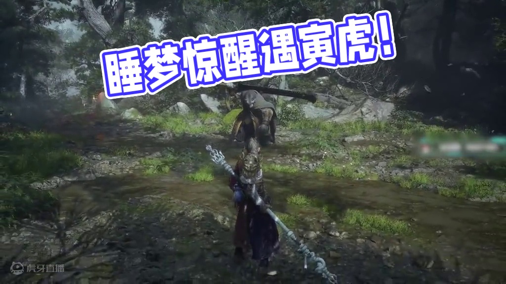 晚上睡觉掀开被子里面全是寅虎 #黑神话悟空 #寅虎