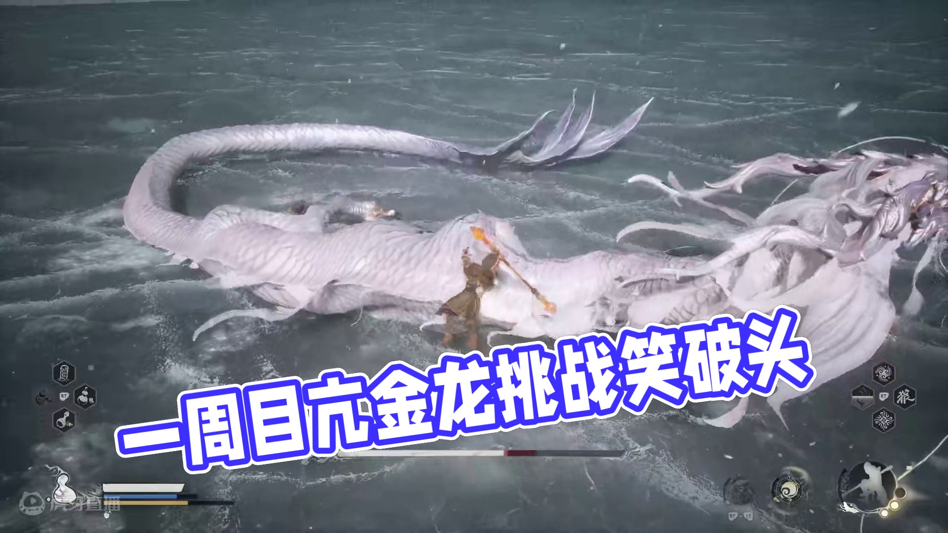 一周目无伤boss挑战：亢金龙