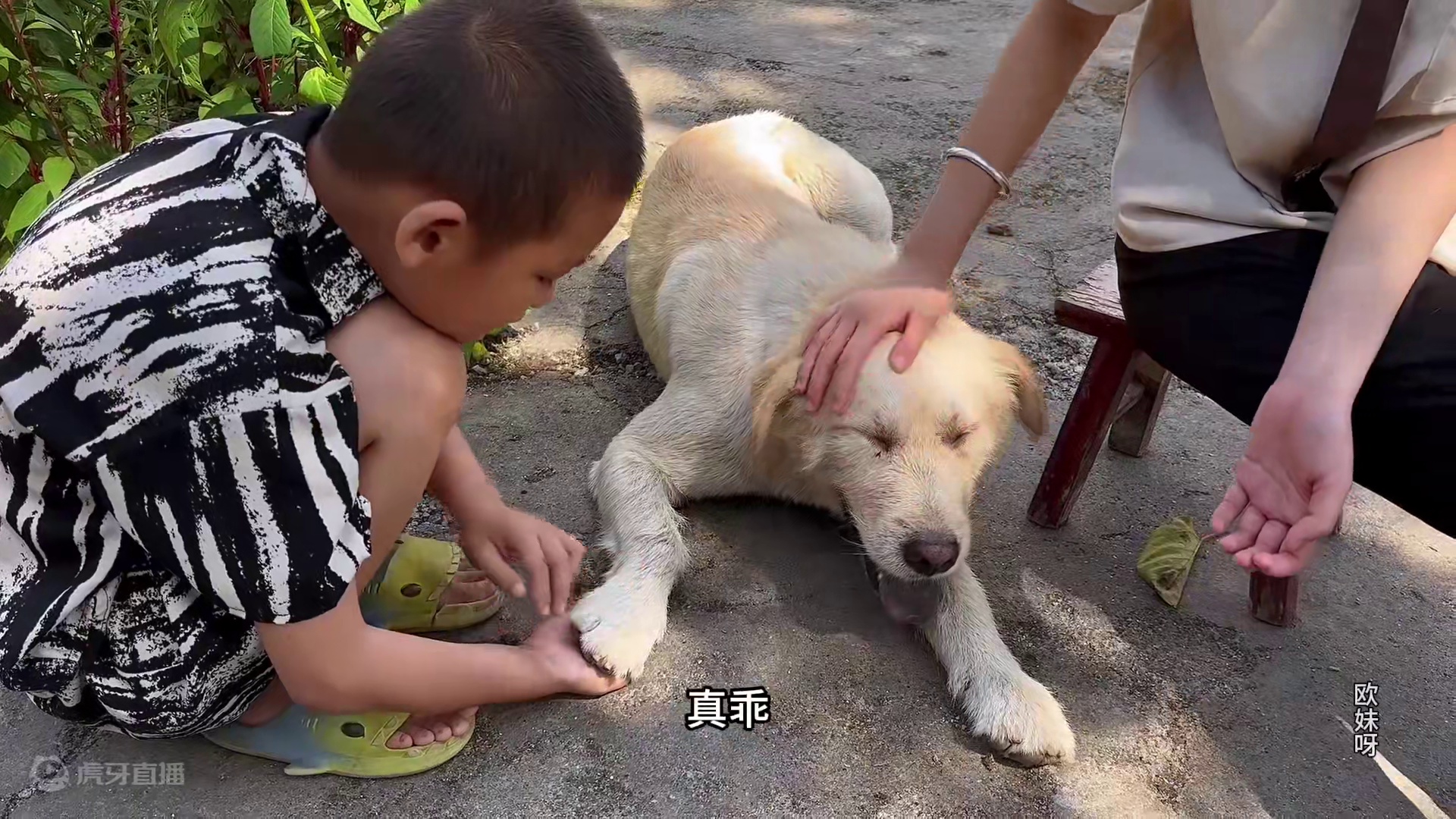 今天做个红烧猪脚，配上各种家常小菜几人吃开心 #美食 #农村生活 #记录生活