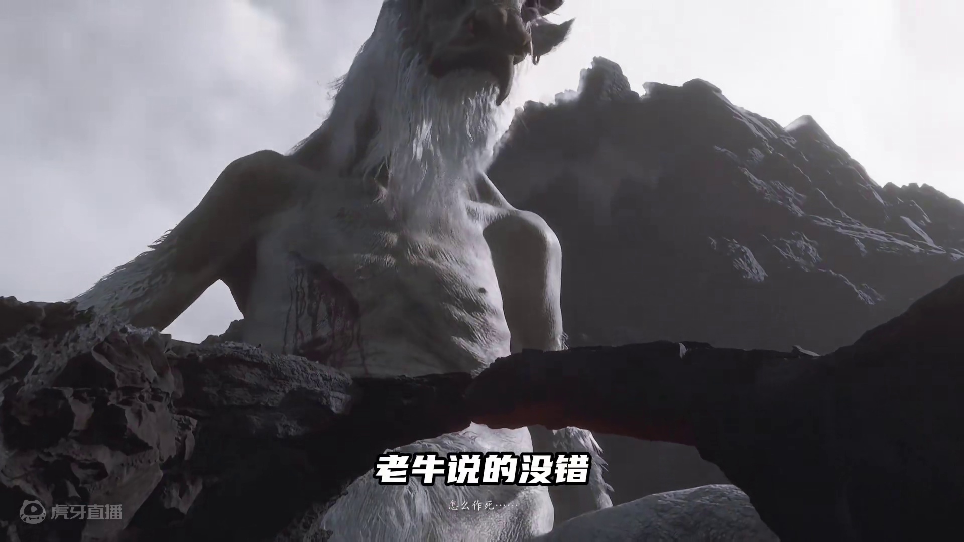 大圣走一路，打一路，老牛说的对啊#黑神话悟空