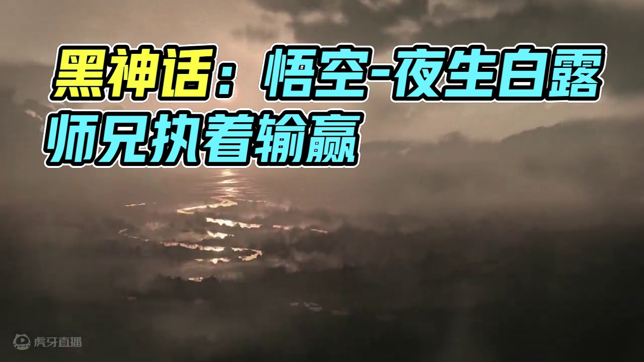 动画章节【黑神话：悟空】第三回.夜生白露-屁