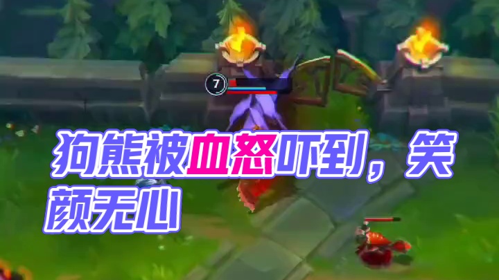 这狗熊居然没被血怒吓到