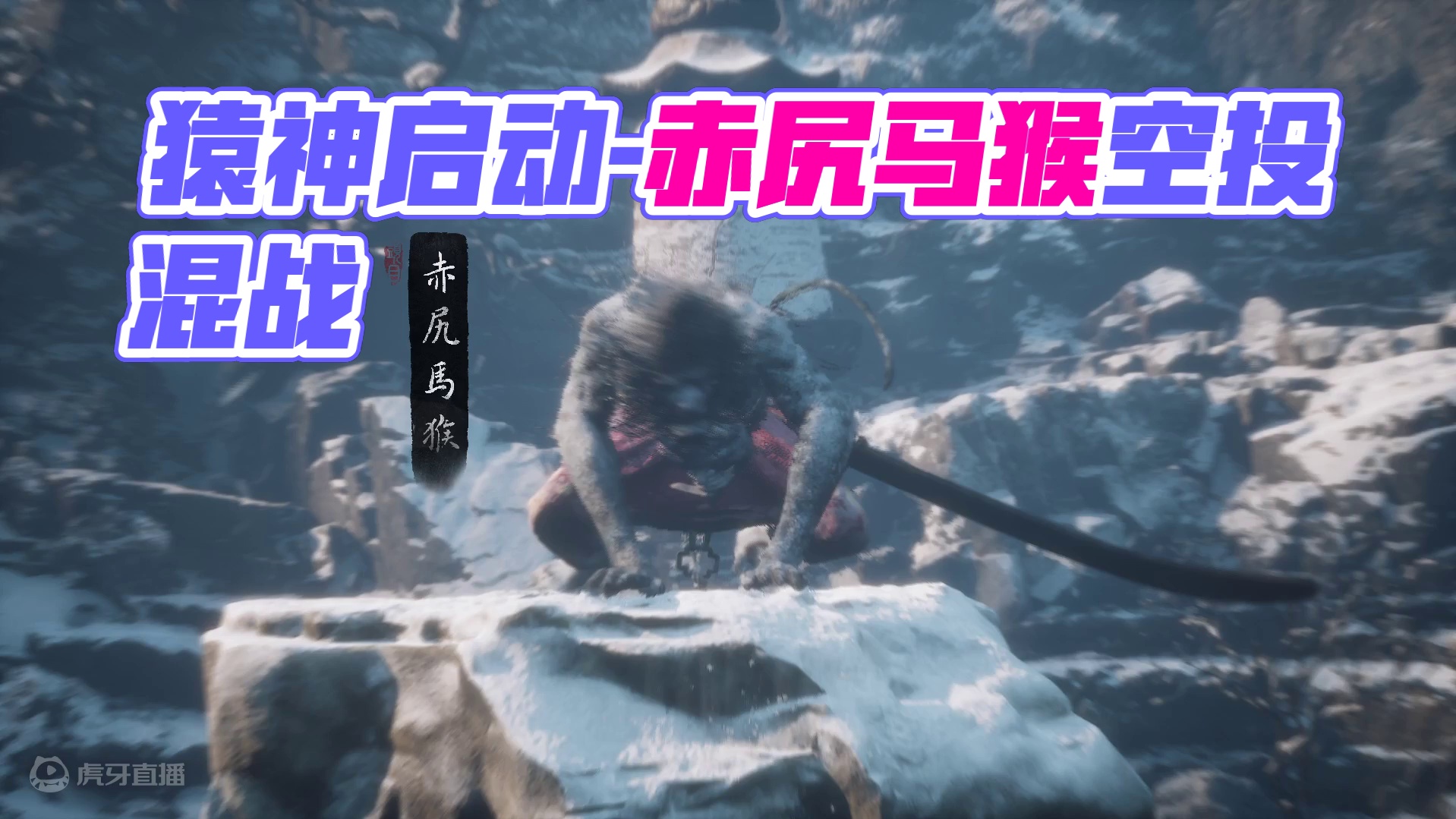 猿神启动-第三章-赤尻马猴