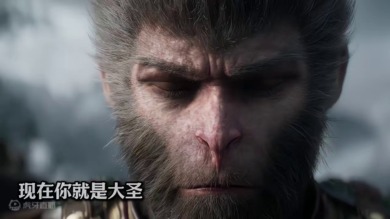 通关完 之后发现大圣不再是大圣了#黑神话悟空  #游戏中的名场面 #steam游戏 #夏天y