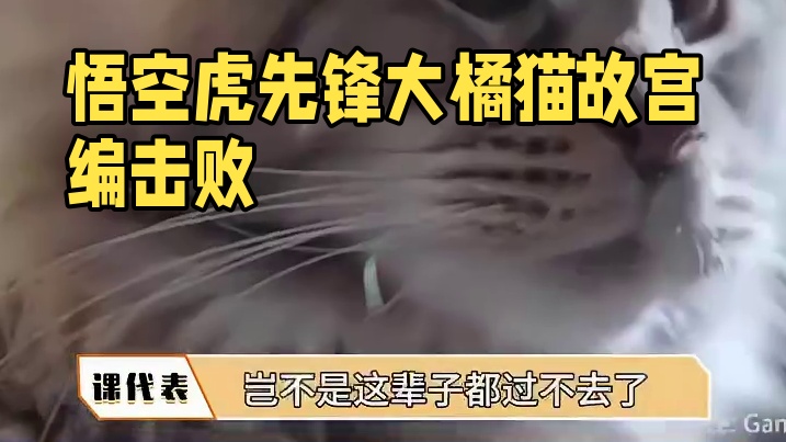 黑神话悟空虎先锋动捕是大橘 这只橘猫故宫里有编的