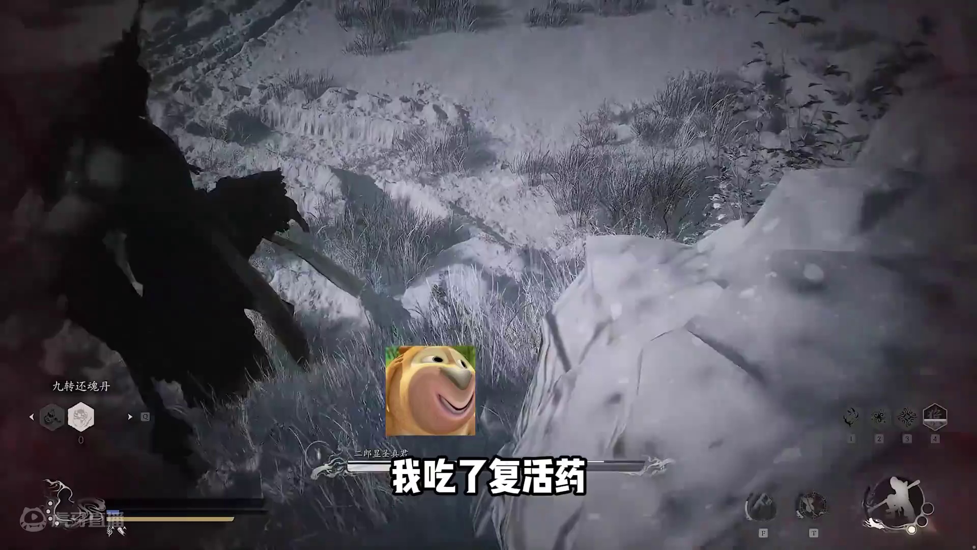 兄弟们，我打真君的战绩应该不差吧 #黑神话悟空  #黑神话 #楚河 #steam游戏