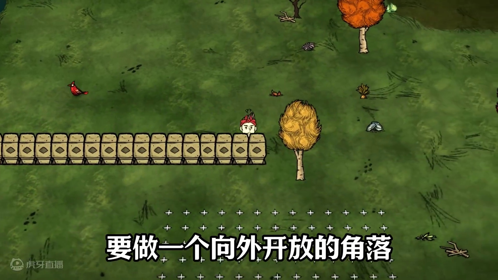 饥荒狗王宝石工厂：前期好用稳定，刷狗牙，刷金子 #饥荒 #饥荒联机版 #饥荒新手教程 #饥荒工厂