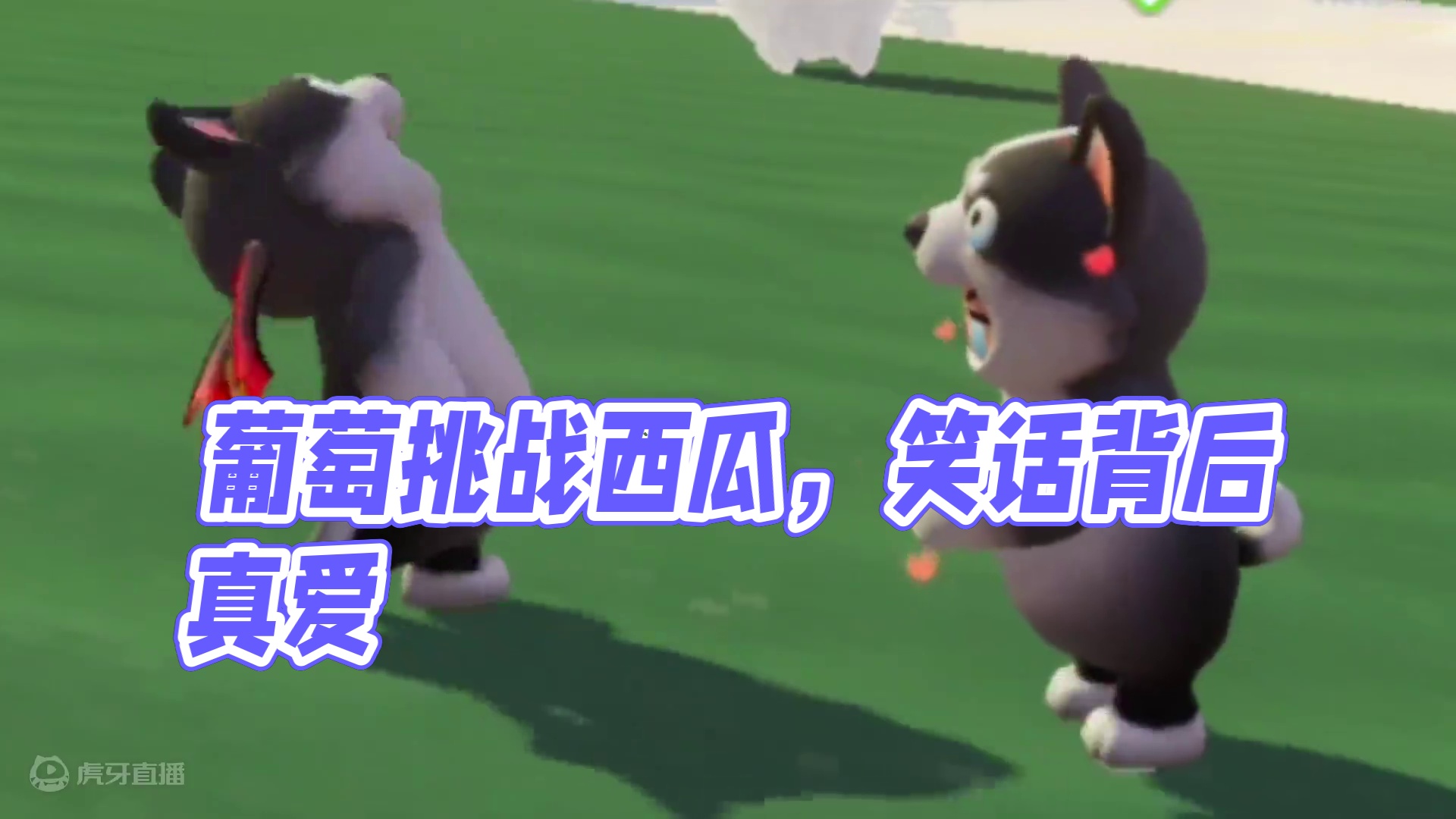 元梦之星：葡萄居然分不清我！难道我们之间的感情只是笑话吗？ #元梦之星 #元梦之星甜心乐园赛季 #游