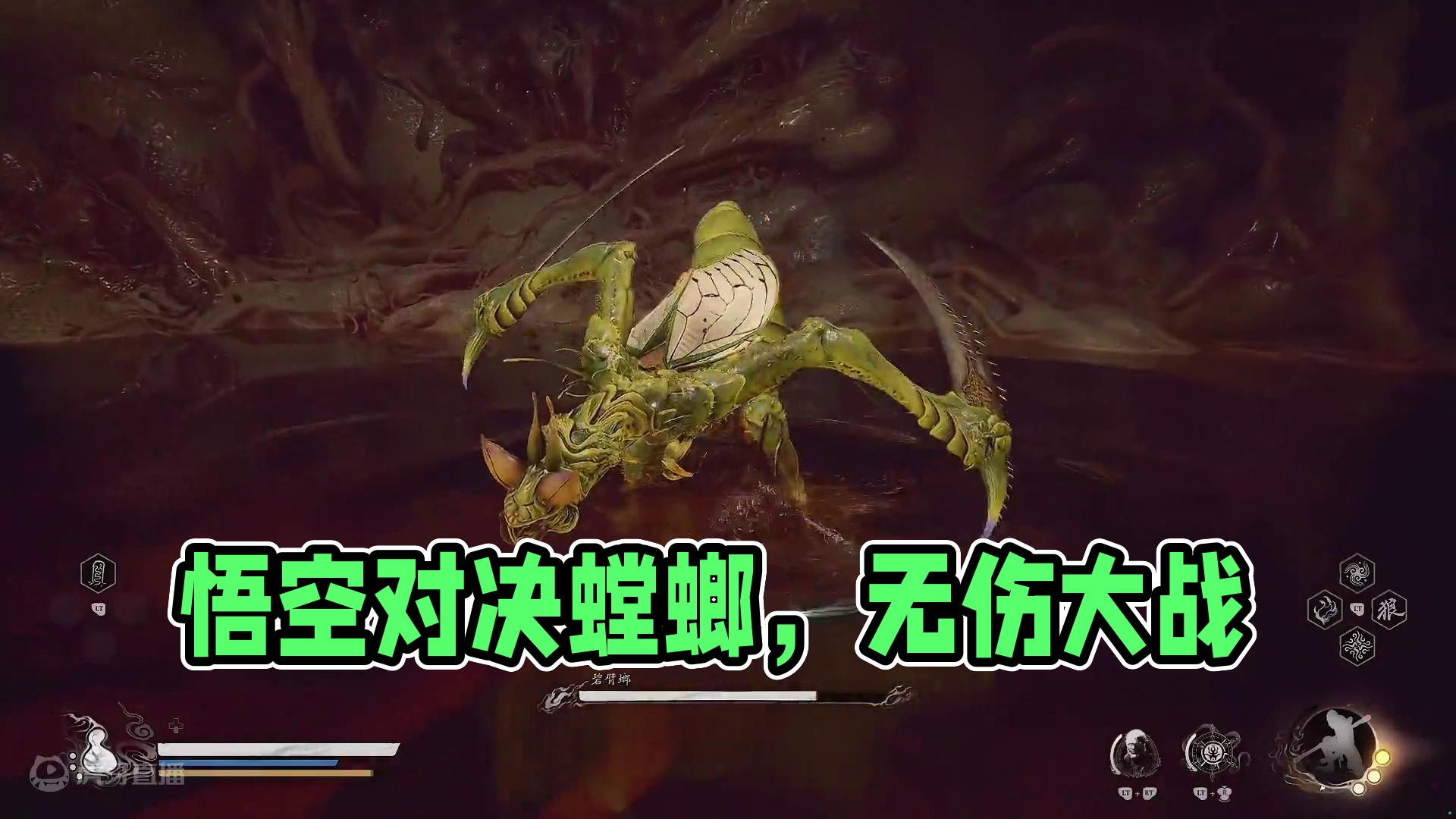 【无伤】悟空VS螳螂