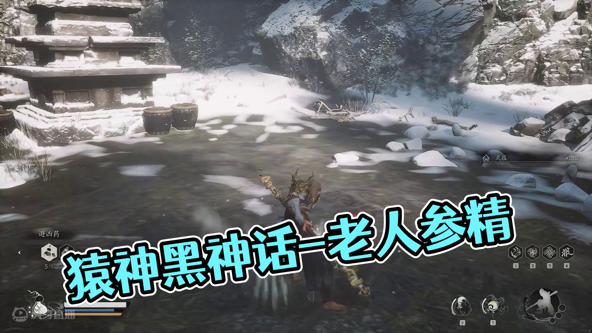 猿神启动-第三章-老人参精