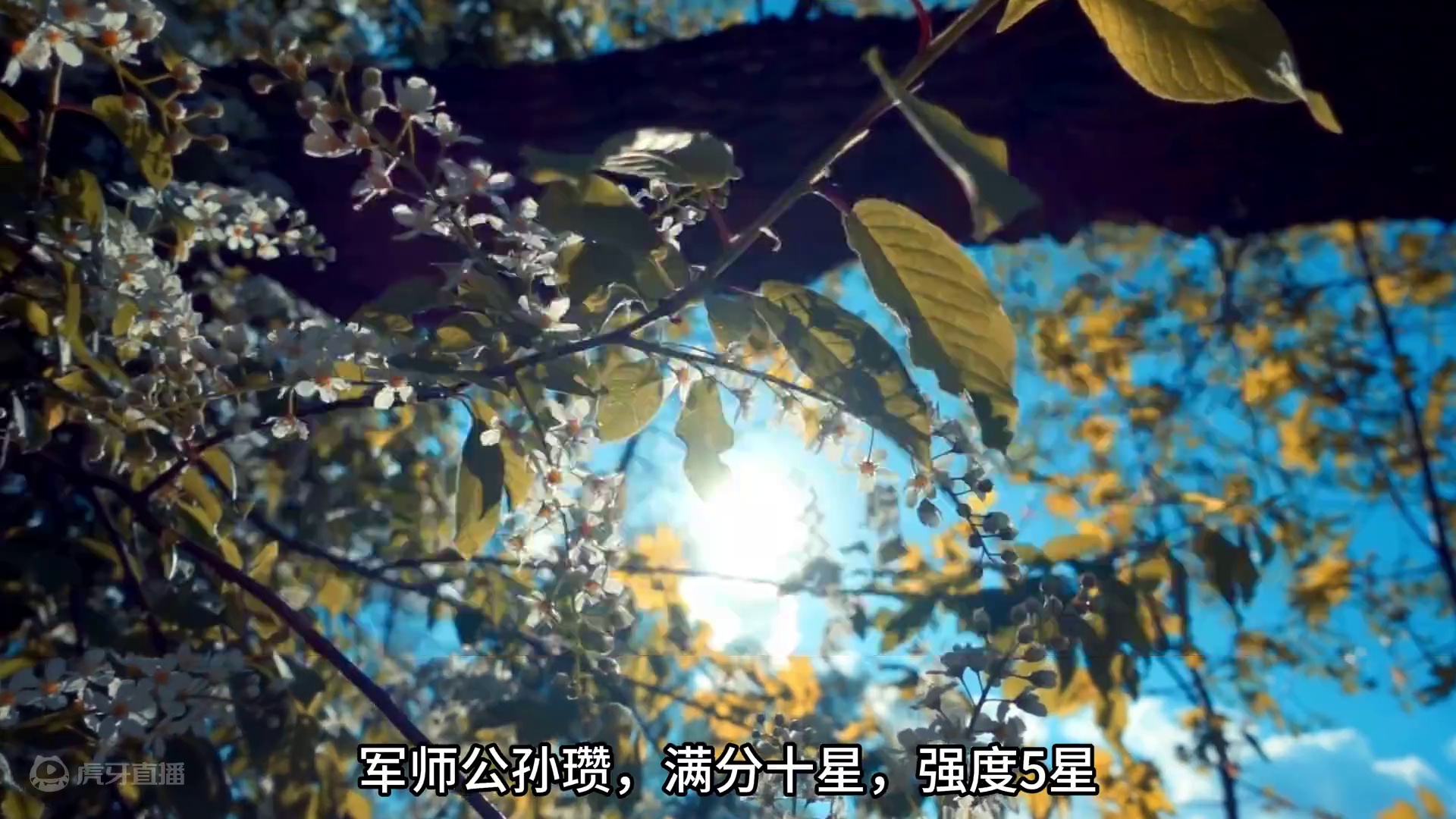 治军武将全阵容强度排行-SP关羽篇 #三国志战略版 #三战创作者计划