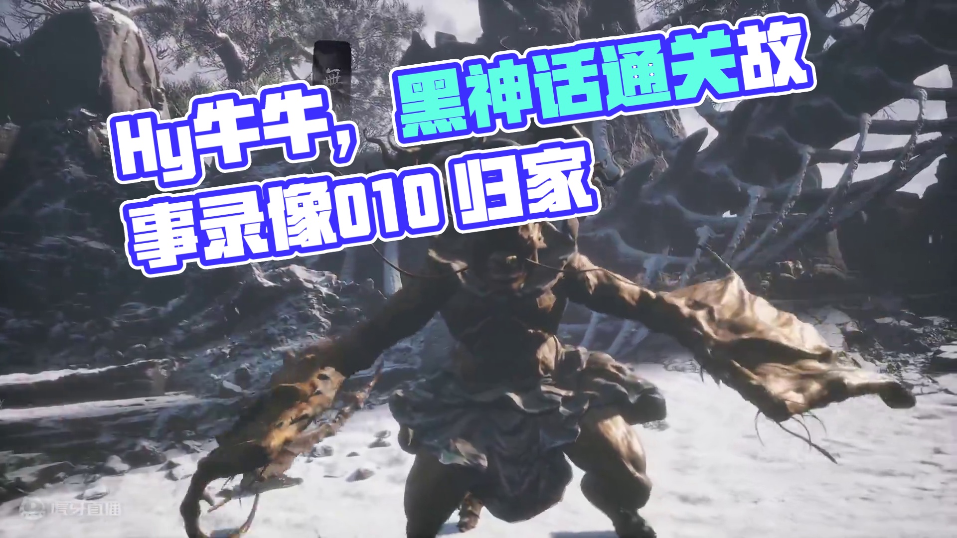 Hy牛牛，黑神话直播通关录像010