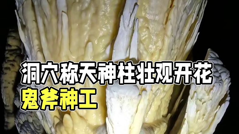 洞穴里的称天神柱长满了枝牙开花结果大自然的鬼斧神工，精彩万分 #洞穴探险 #钟乳石 #神奇大自然 #