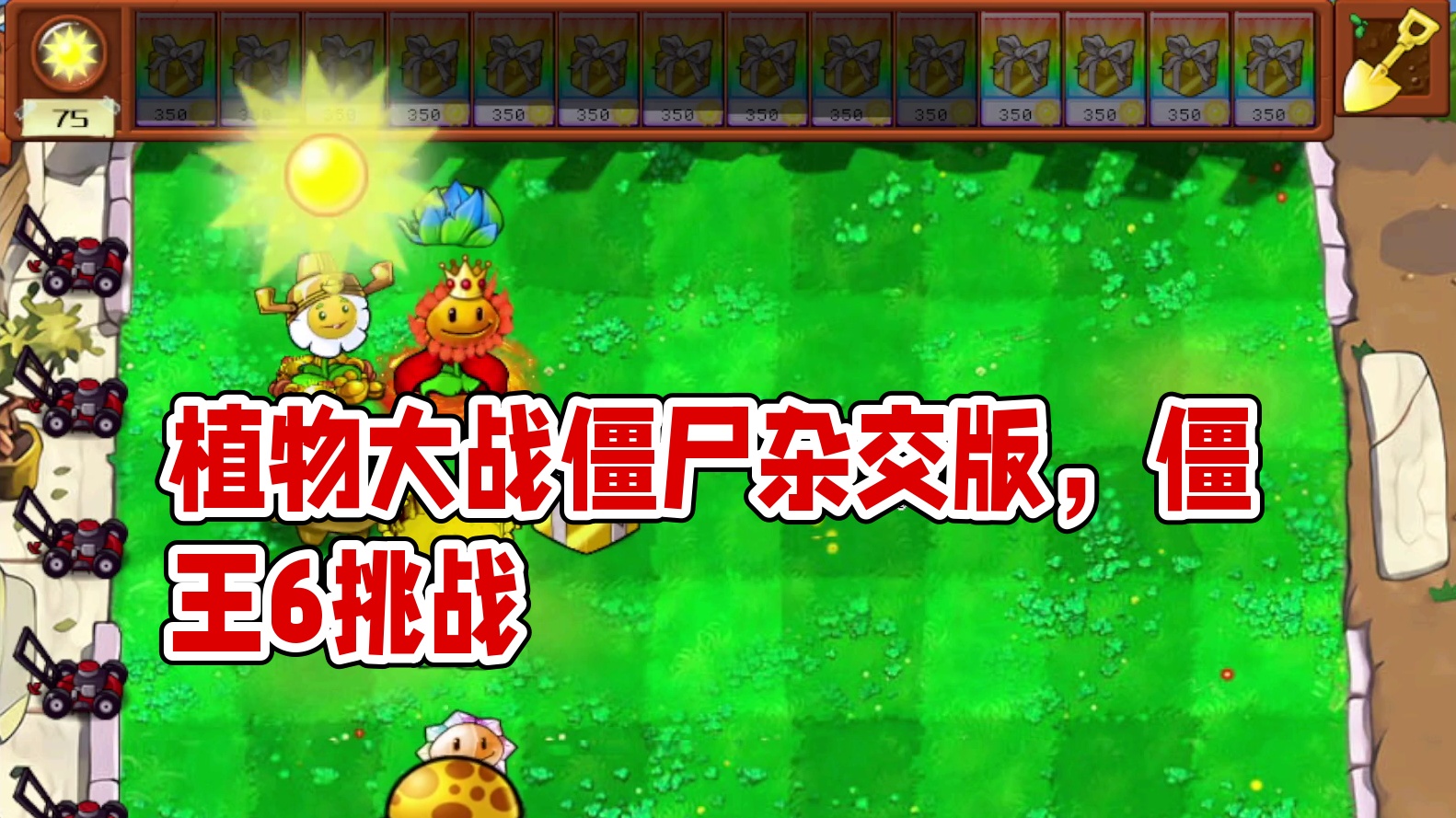 植物大战僵尸杂交版  僵王6