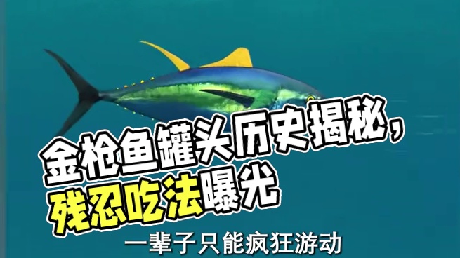 吃了那么久的金枪鱼才知道，原来它还有这样的历史#金枪鱼 #罐头 #金枪鱼罐头 #黄鳍金枪鱼