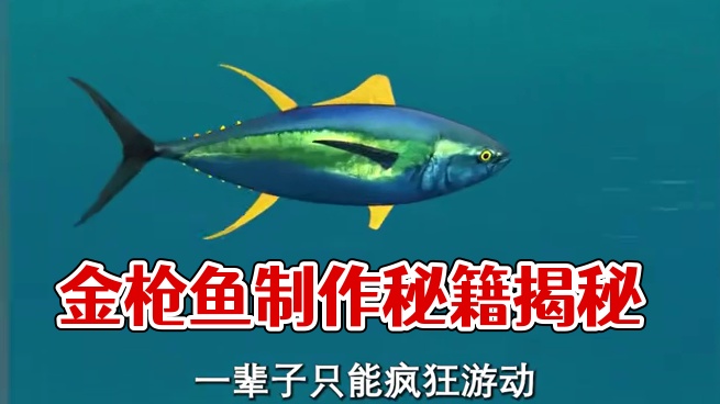 很难想到金枪鱼罐头是这样制作出来的#金枪鱼 #金枪鱼罐头 #