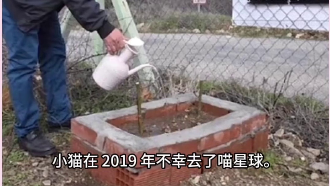 这一世我又回来找你了