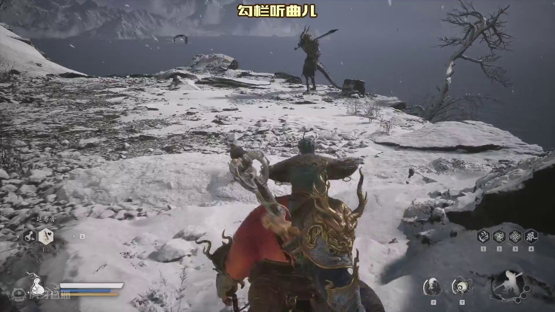 最“憋屈”的青背龙