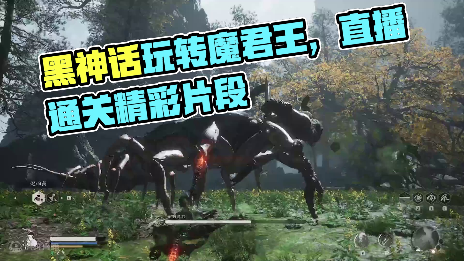 Hy牛牛，黑神话直播通关录像026