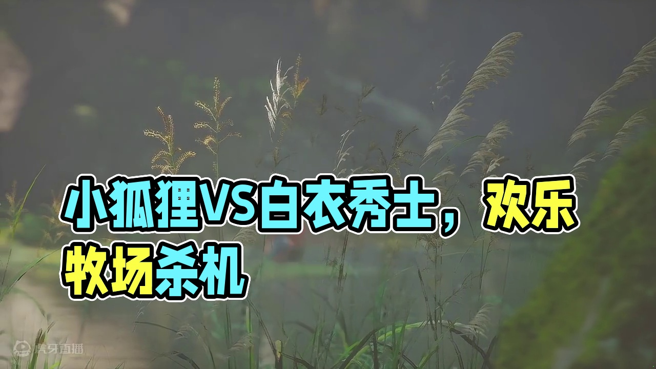 小狐狸萍萍（三周目VS白衣秀士）